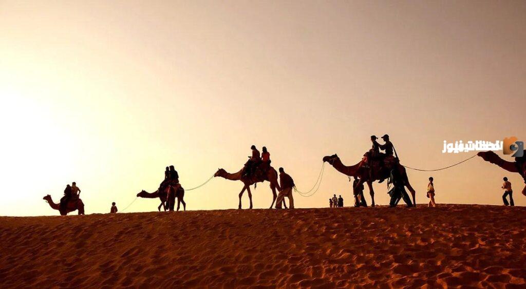 المشخص وش يرجعون
