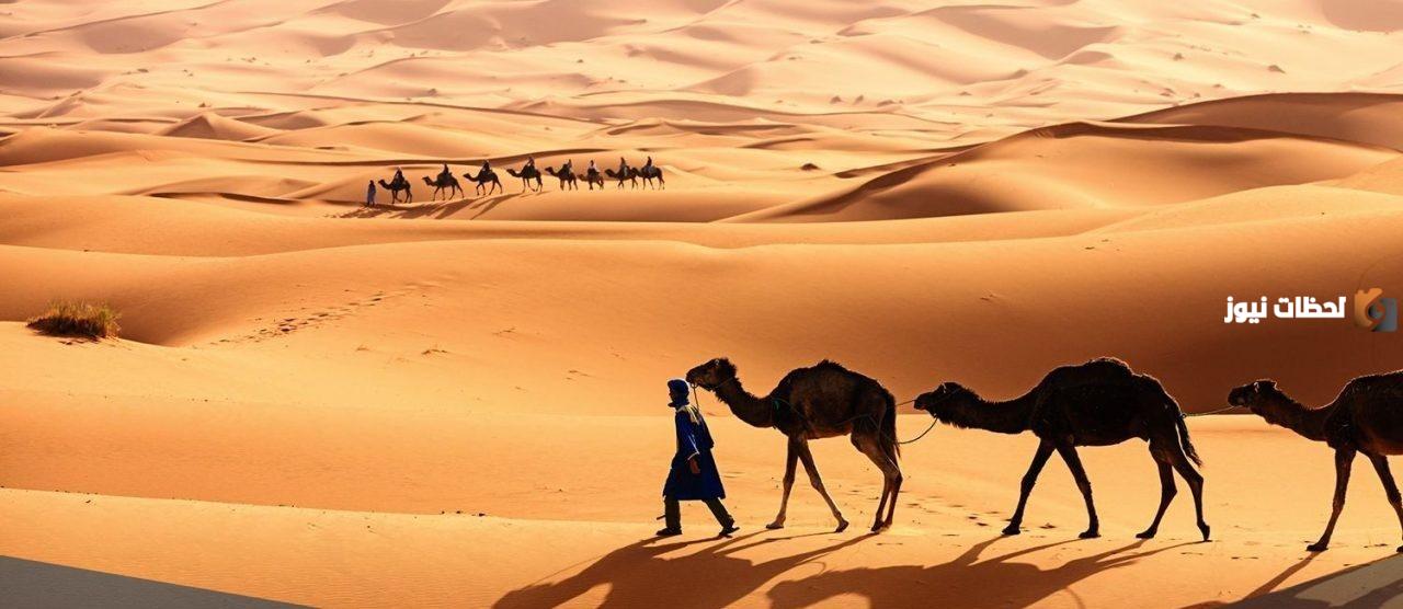 النفيعي وش يرجع.. أصل النفيعي من وين