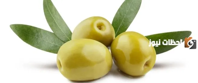 ثمار الزيتون