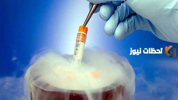 حكم تجميد البويضات
