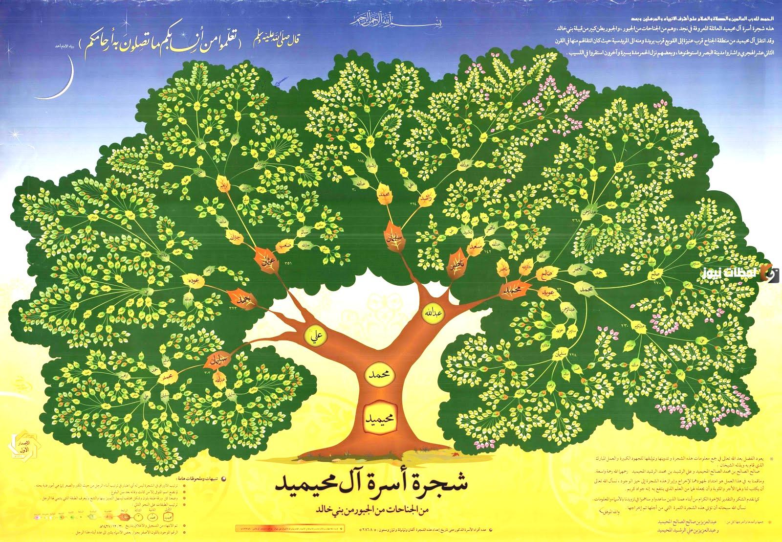 شجرة عائلة الفقيه