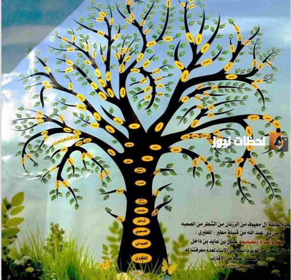 شجرة عائلة المعيوف ونسبها