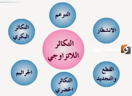 طرق التكاثر اللاجنسي