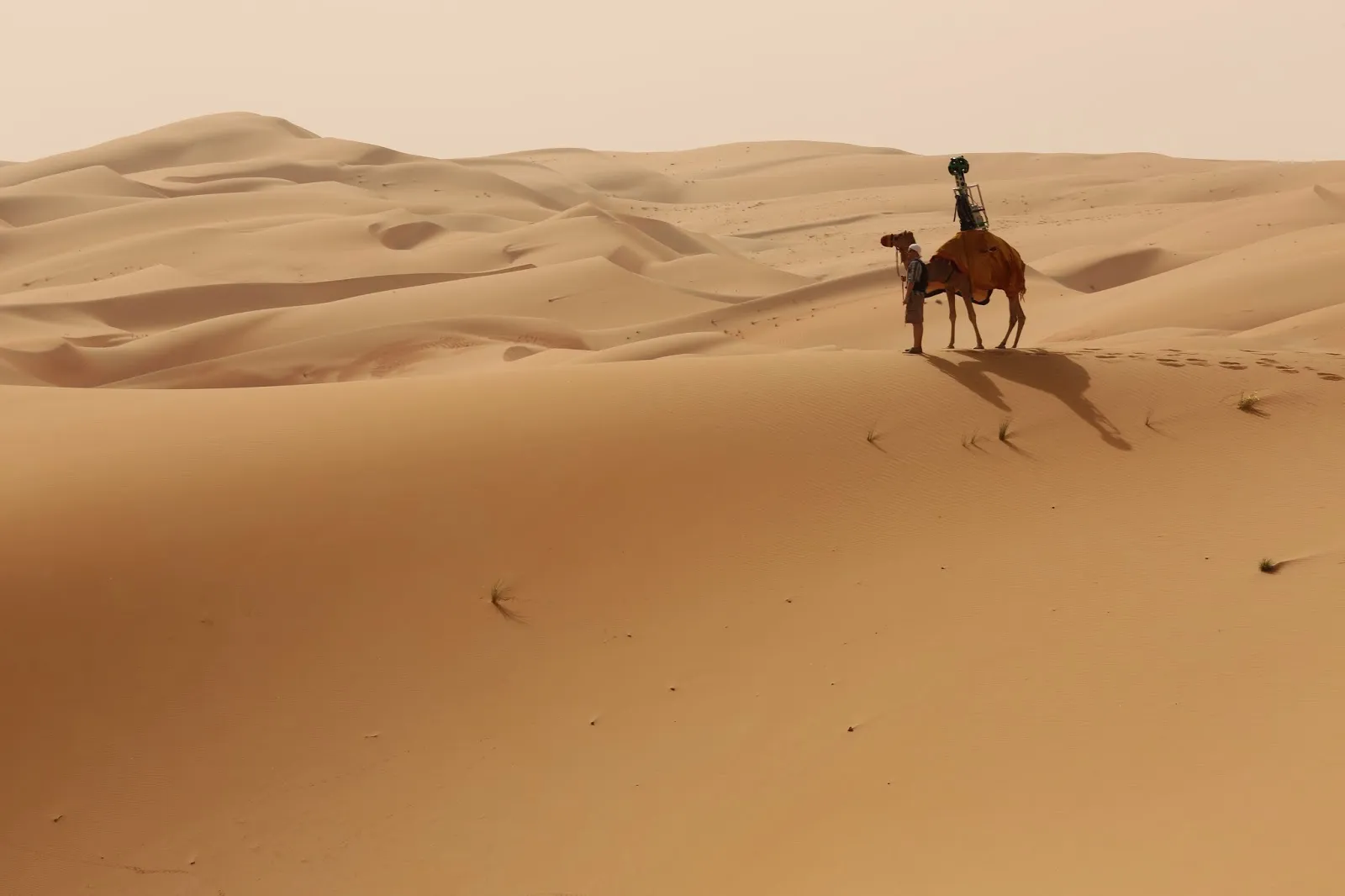 عائلة الطهيمي وش يرجع أصلها
