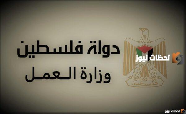 فحص التصاريح بالألوان لشهر سبتمبر 2023