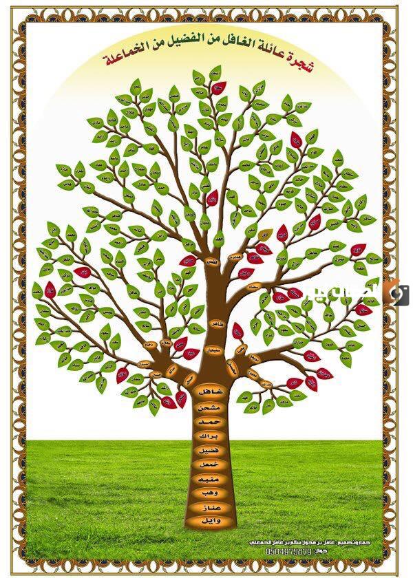 كم عدد فخذ الدهامشه من عنزه