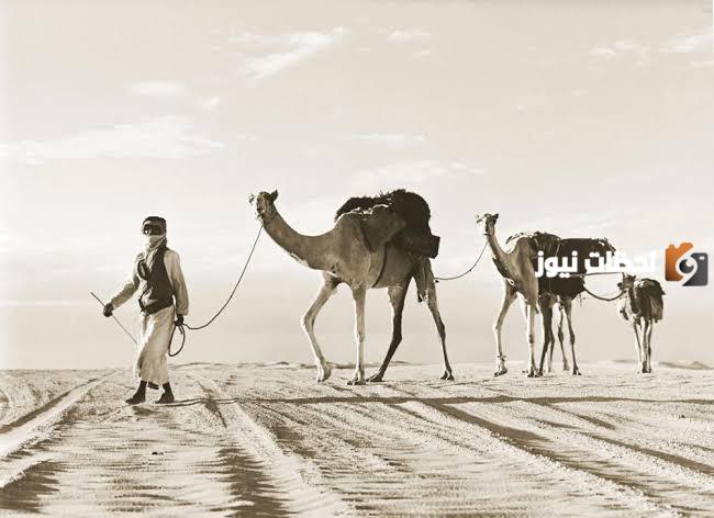 لماذا القبائل لا تزوج الشرارات ؟