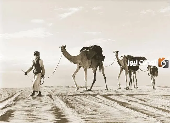 لماذا القبائل لا تزوج الشرارات ؟