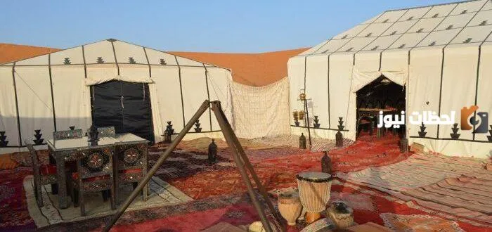 ما هو أكثر عدد قبيلة في مصر؟