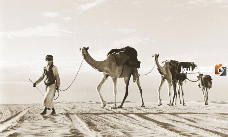 ما هو اكثر عدد قبيلة في الامارات