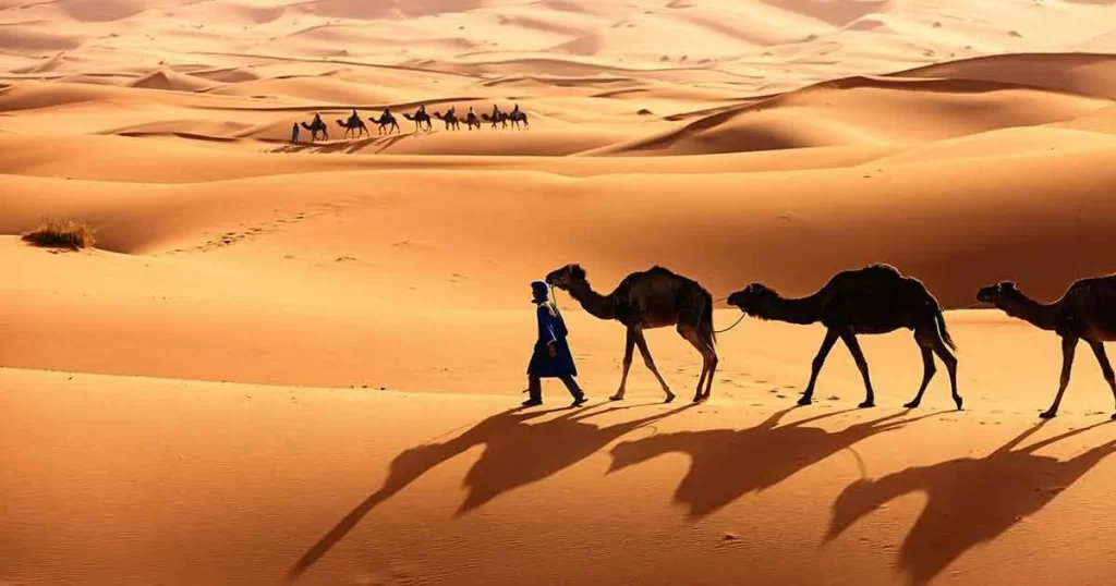 ما هو نسب قبيلة العياضي