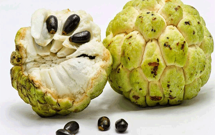 ماهي فوائد فاكهة القشطة