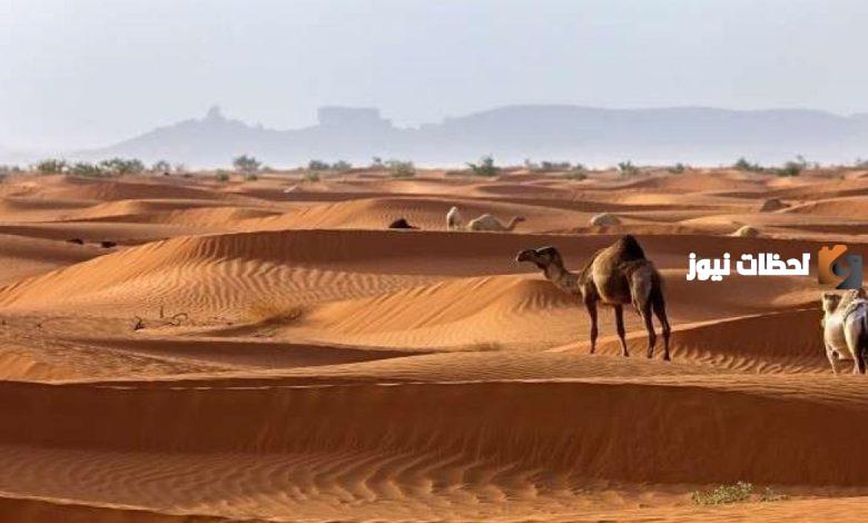 نسب قبيلة البقوم