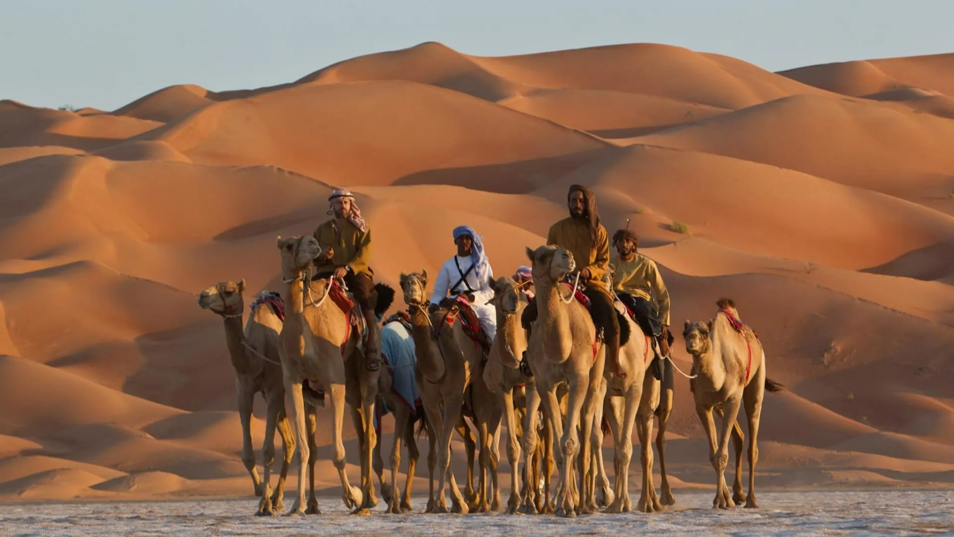 نسب قبيلة البقوم