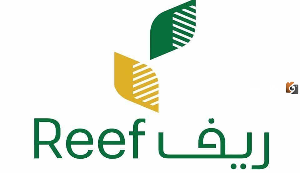 هل الدعم الريفي يشمل ربات البيوت؟ شروط الدعم الريفي للنساء