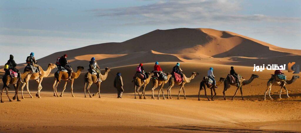 وش يرجع أصل قبيلة بني زيد
