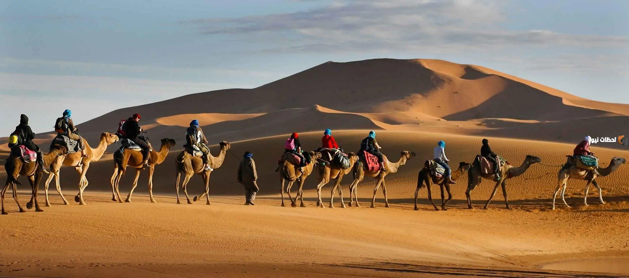 وش يرجع أصل قبيلة بني زيد