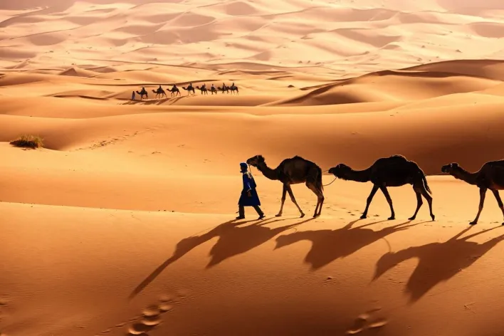 أبرز شخصيات عائلة الصوينع