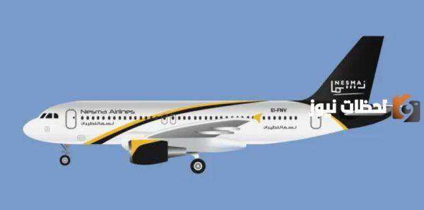 مميزات وعيوب طيران نسما