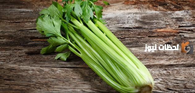 فوائد اكل الكرفس للرجيم هل الكرفس