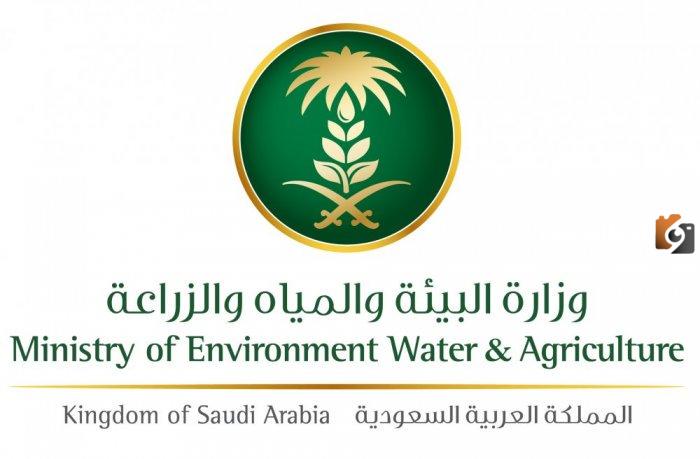 عاجل حالات إيقاف خدمة دعم المواشي السعودية 1446..بالخطوات استعلم عن حالة الدعم