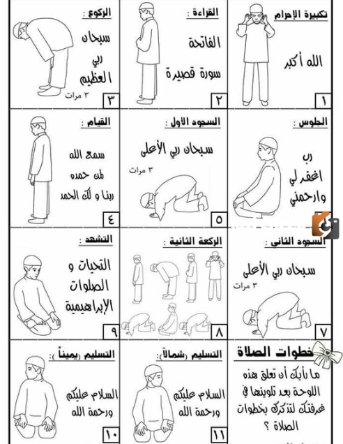 كيفية صلاة الفجر بالصور خطوة بخطوة