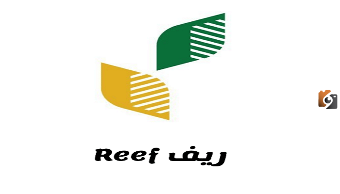 احصل على دعم الأسر الريفية من ريف.. شروط التسجيل هي؟