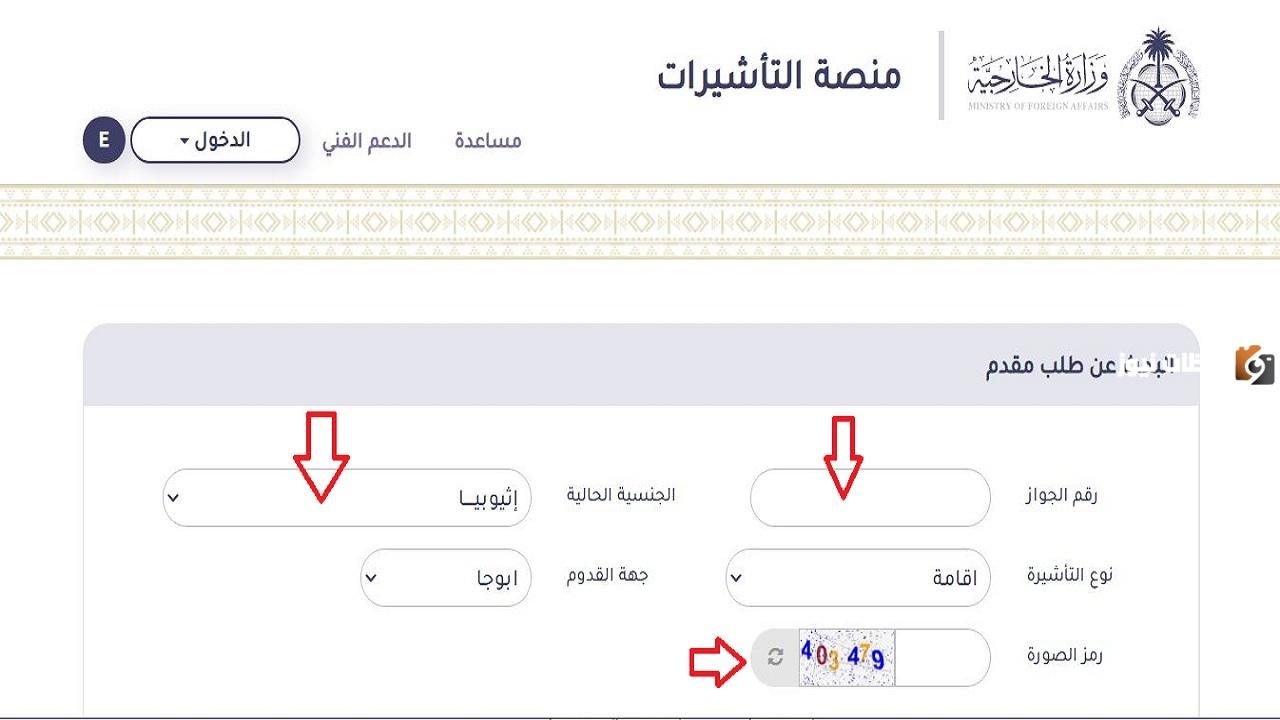 الاستعلام عن تأشيرة