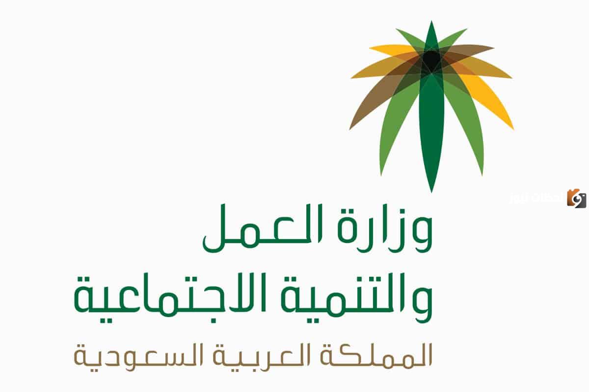 نقل كفالة