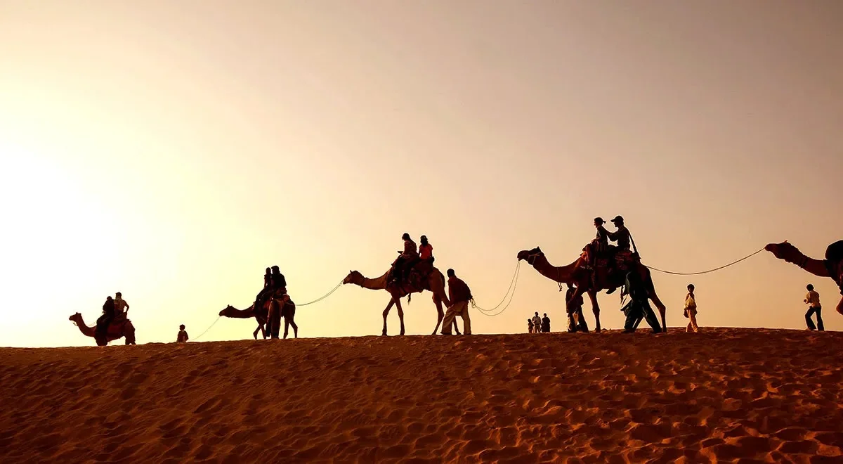 البسام وش يرجعون