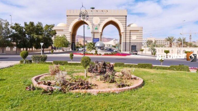 الجامعة الإسلامية في المدينة المنورة تمدد فترة القبول والالتحاق ببرامجها للطلاب الأجانب