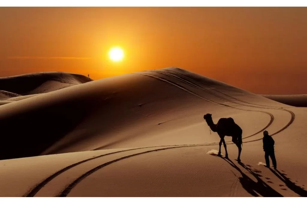 الجعيد وش يرجعون
