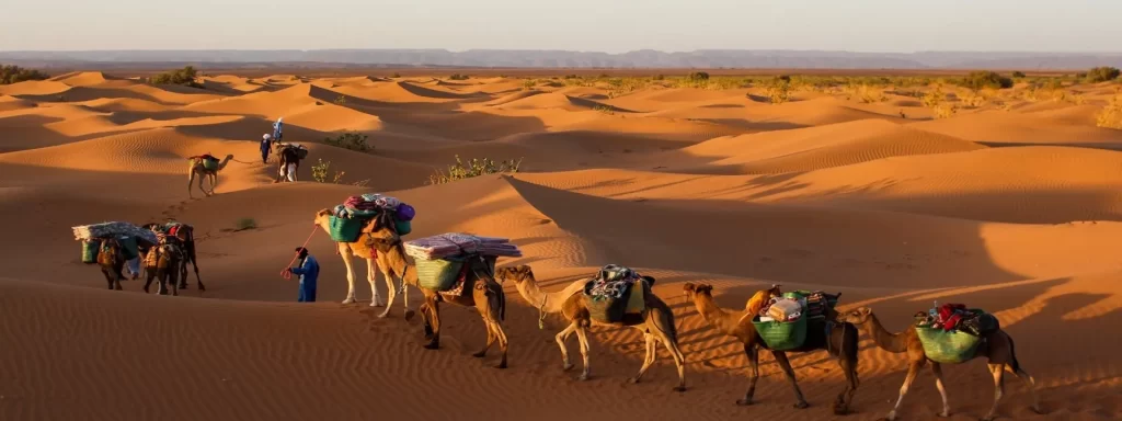 الدغيثر وش يرجعون