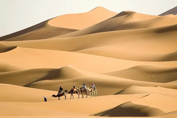 الرقيبة وش يرجعون له الرقيبة من وين