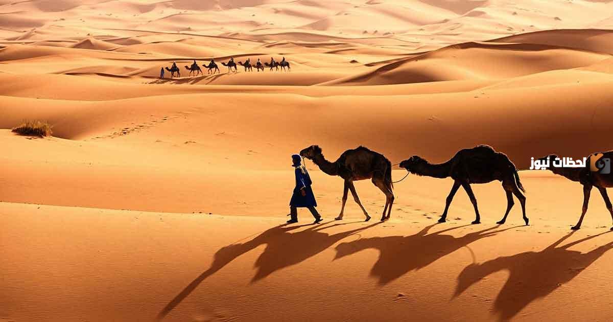 القميزي وش يرجعون ومن هم القميزي؟