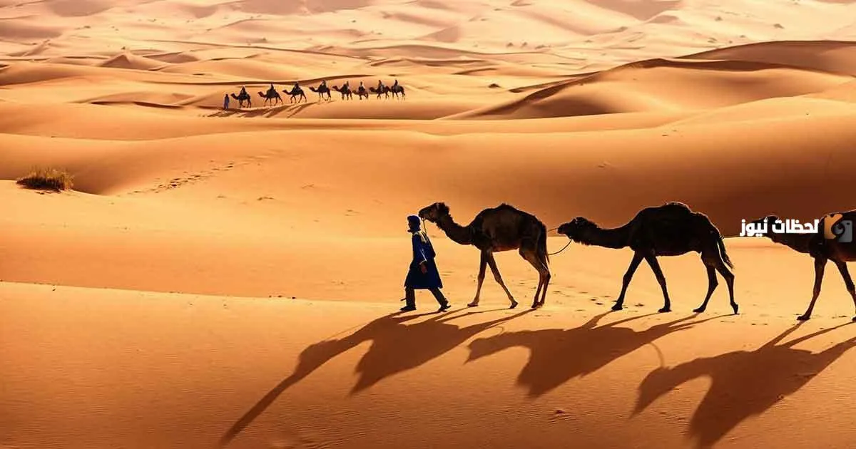 القميزي وش يرجعون ومن هم القميزي؟