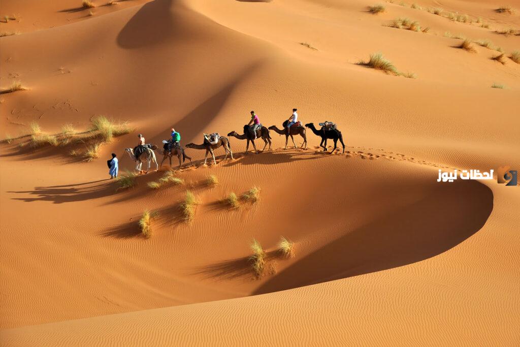 المحياني وش يرجعون