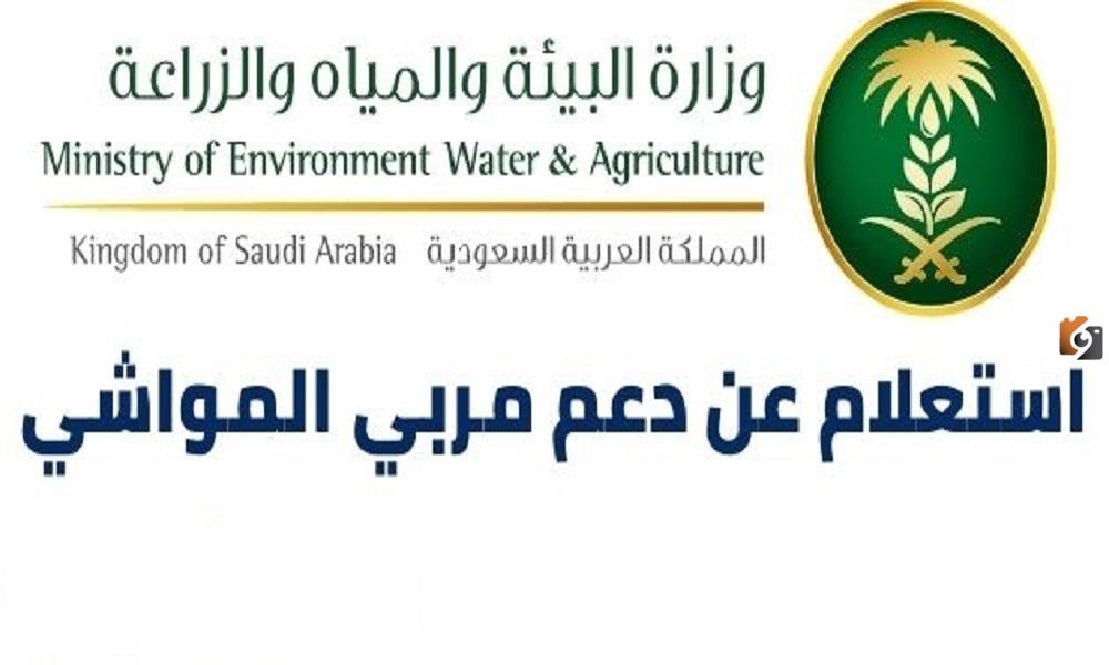 "وزارة البيئة" توضح خطوات التسجيل في برنامج دعم صغار الماشية