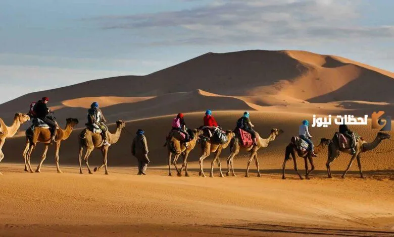 بني زيد من أي قبيلة