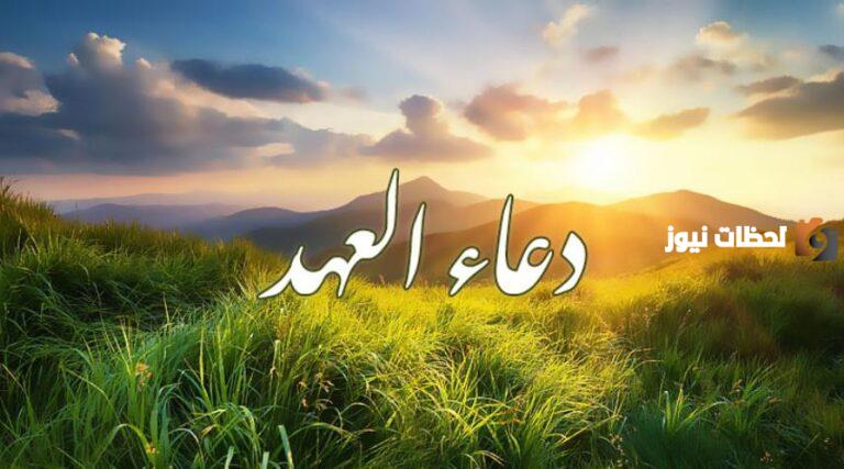 دعاء العهد علي حمادي كامل