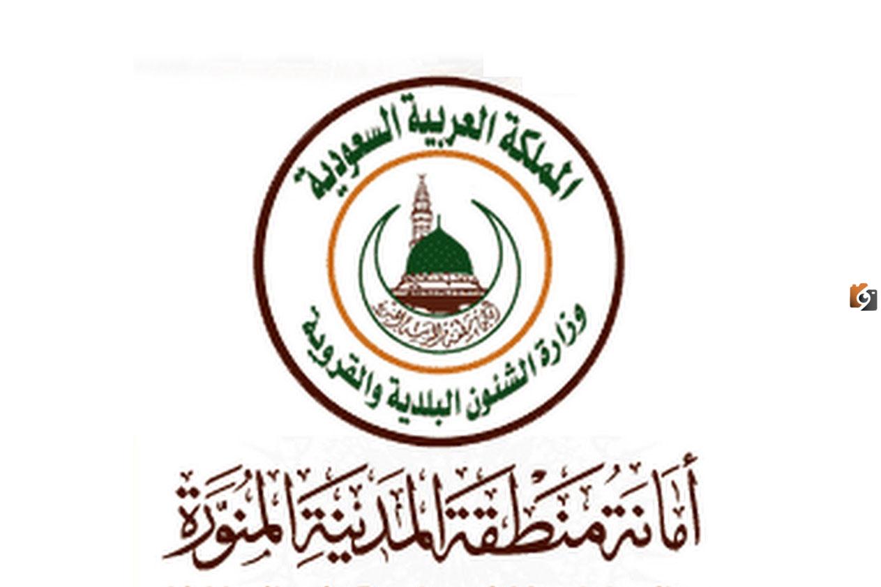 رابط استعلام وفيات المدينة