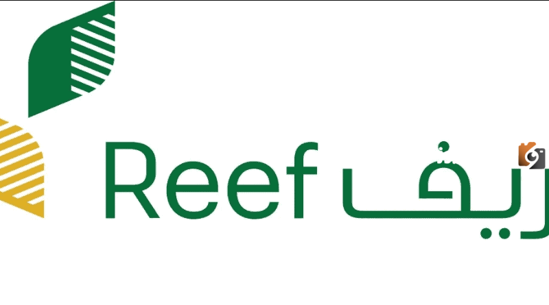 رابط دعم ريف