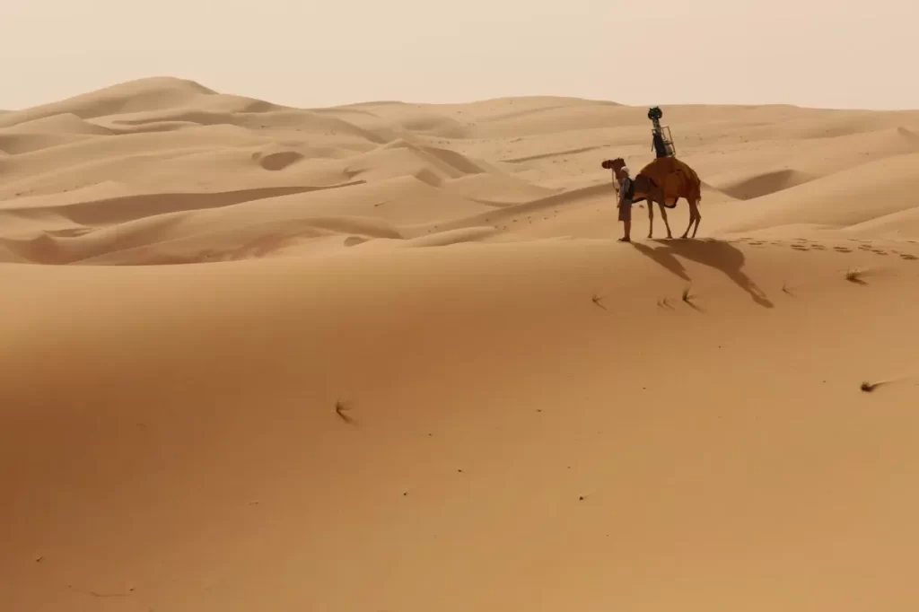 فهد الجلاجل وش يرجعون