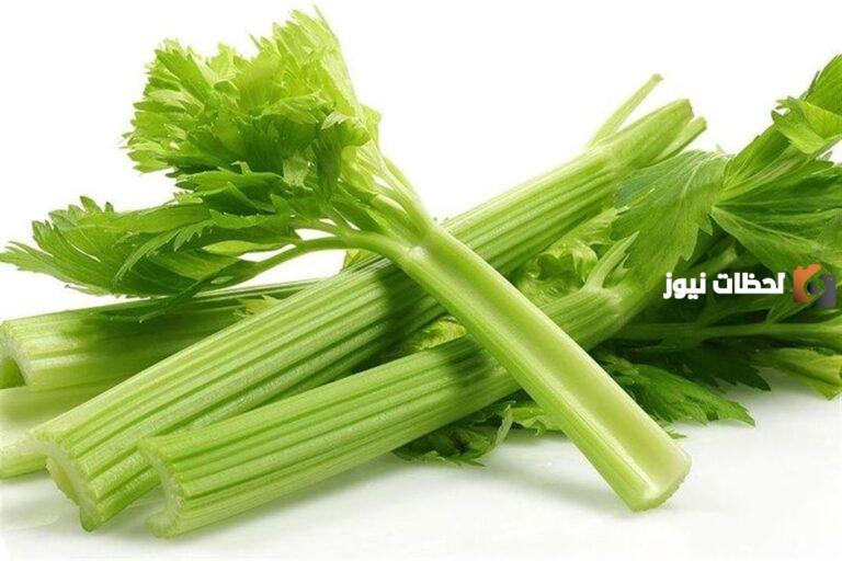 فوائد اكل الكرفس للرجيم هل الكرفس