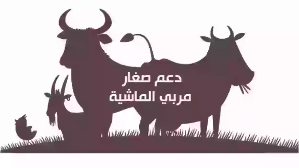 كيف ادخل على بياناتي في دعم المواشي 1445 وكيف يتم تحديث البيانات؟