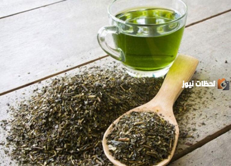 كيفية استخدام الشاي الأخضر