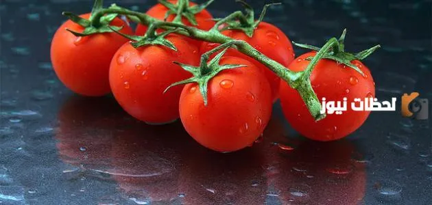 لماذا الطماطم من الفواكه
