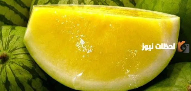 ما هي فوائد بذور البطيخ الأصفر؟ ما هي فوائد البطيخ الأصفرصرأصر؟