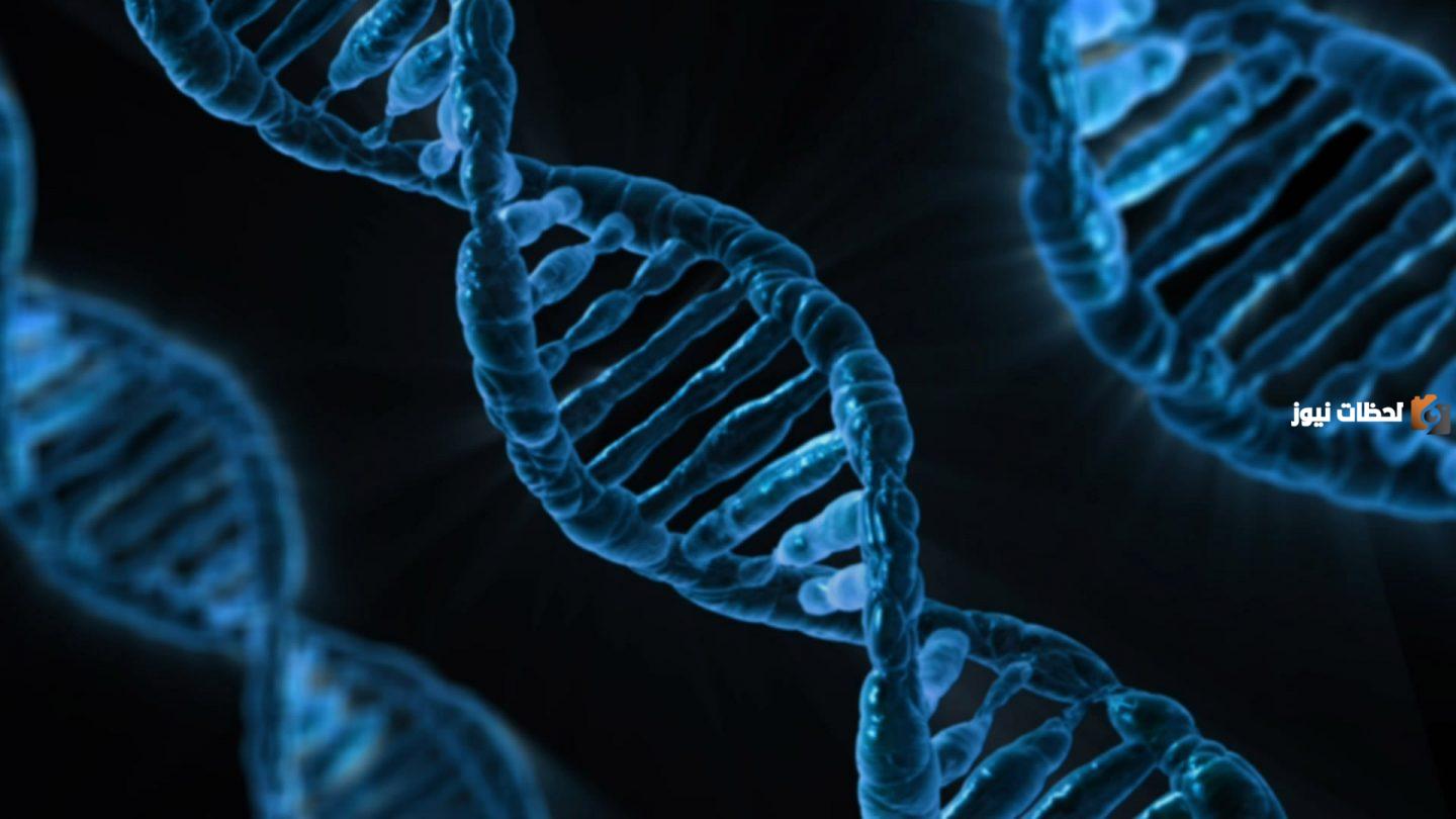 مقدمة بحث عن dna قوية وواضحة
