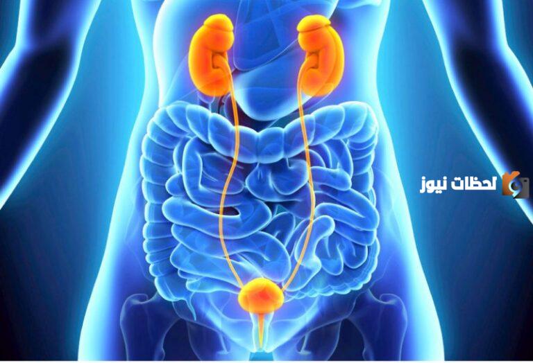 هل التهاب البول يسبب غازات